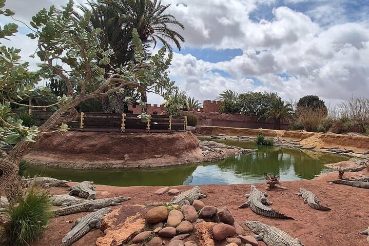 Crocoparc Agadir: Crocodile Park & Botanical Gardens Afternoon Tour photo 2