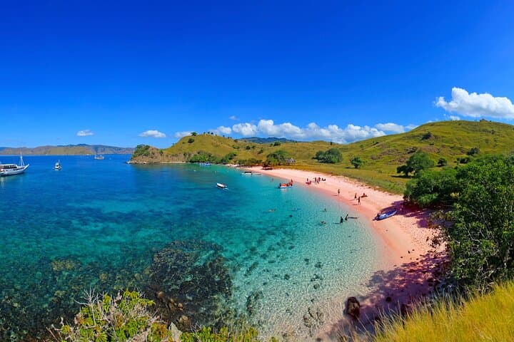 Private Shore Tour: Komodo Island, Padar & Pink Beach Adventure photo 5