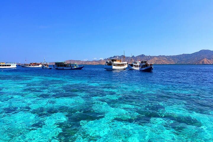 Private Shore Tour: Komodo Island, Padar & Pink Beach Adventure photo 6