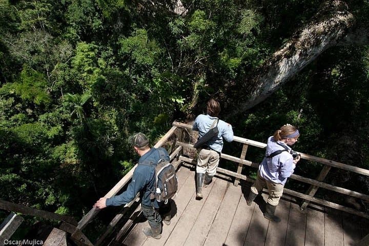 5-Day Manu Wildlife Center Safari: Amazon Wildlife, Clay Licks & Canopy Tower photo 3