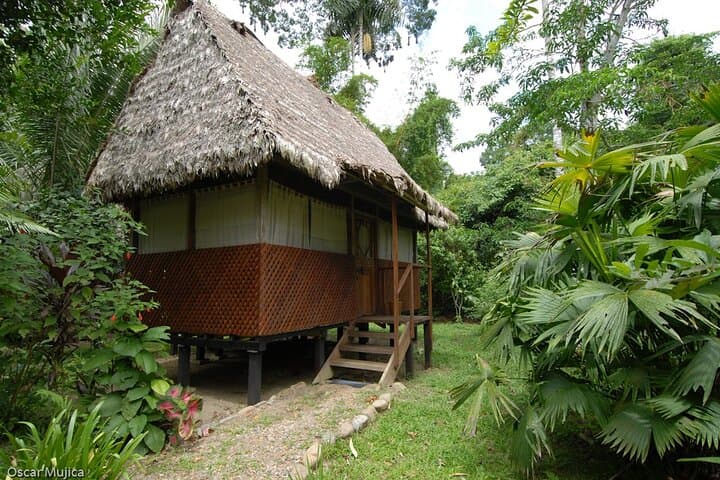5-Day Manu Wildlife Center Safari: Amazon Wildlife, Clay Licks & Canopy Tower