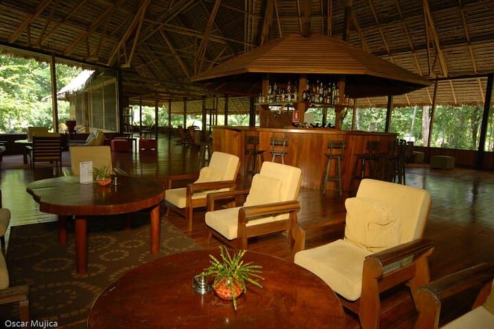 5-Day Manu Wildlife Center Safari: Amazon Wildlife, Clay Licks & Canopy Tower photo 4