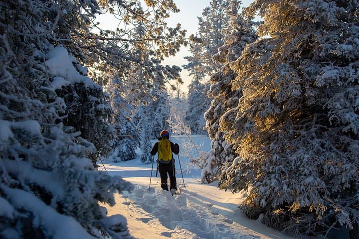 Levi Snowshoeing Adventure to Pallas‑Yllästunturi National Park photo 2