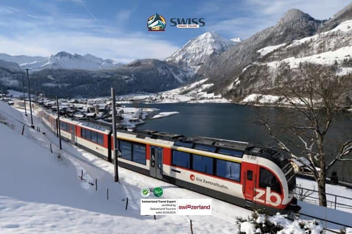 Panoramic Swiss Train and Bernese Oberland Villages Day Tour from Zurich photo 2