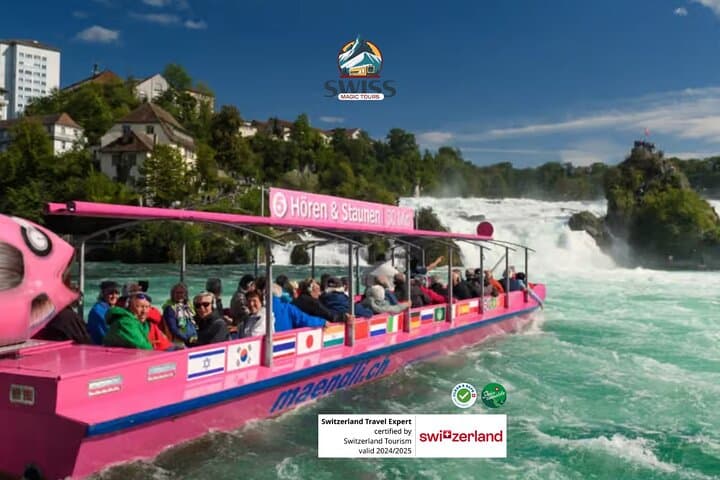 Rhine Falls & Stein am Rhein Private Day Trip — Zurich to Europe’s Largest Waterfall and Medieval Streets