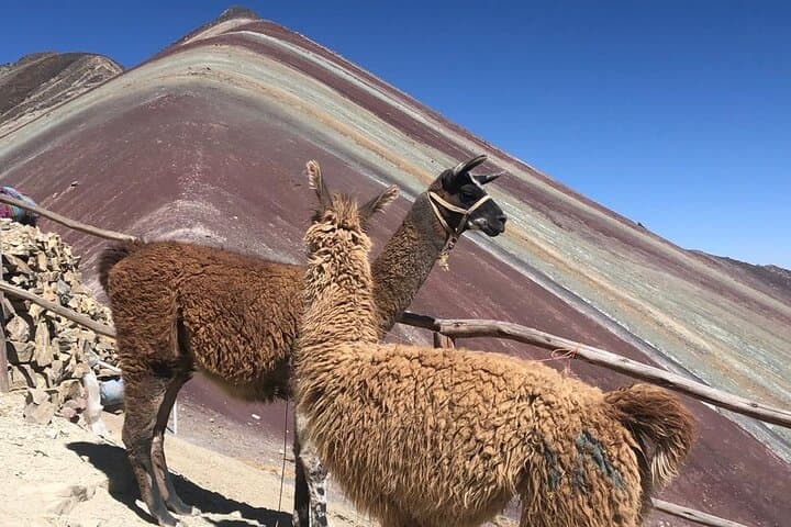 Private Transfer to 7-Colors Rainbow Mountain (Vinicunca) — Cusco Day Trip photo 2