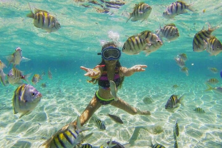 Cayo Arena Snorkel & Monte Cristi Mangrove Tour with Lunch