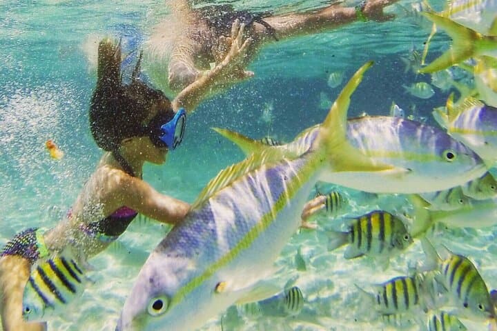Cayo Arena Snorkel & Monte Cristi Mangrove Tour with Lunch photo 6