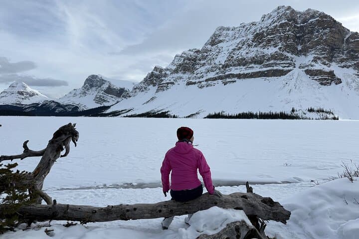 Banff Winter Day Tour: Lake Louise, Abraham Lake & Icefields Parkway from Canmore photo 5