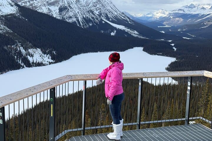 Banff Winter Day Tour: Lake Louise, Abraham Lake & Icefields Parkway from Canmore photo 6