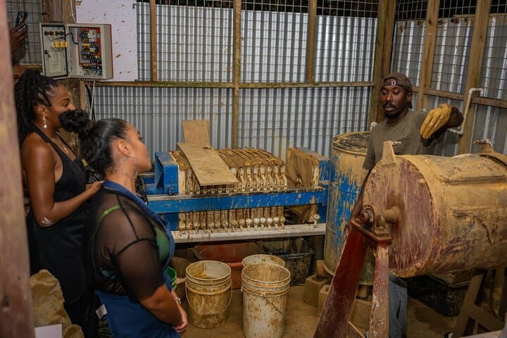Barbados Hidden Gems: Hunte's Gardens and Hamilton's Pottery Tour photo 5