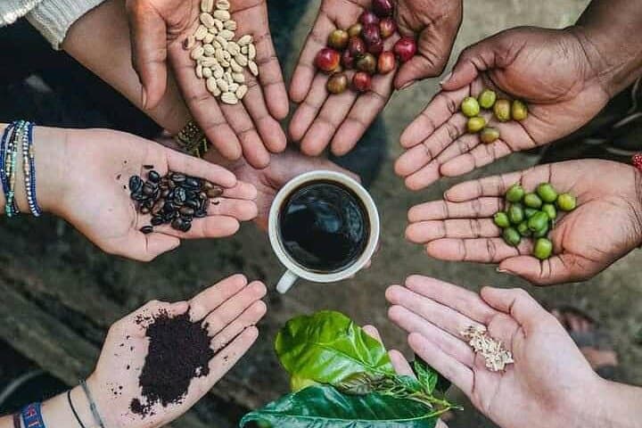 Materuni Waterfall & Chagga Coffee Tour from Moshi — Hike, Swim and Coffee Experience photo 4