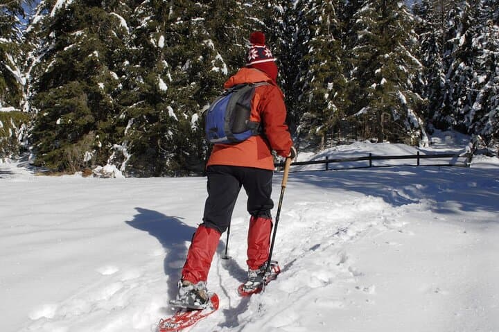 Snowshoe Johnson Lake: Guided Winter Walk from Banff with Maple Taffy