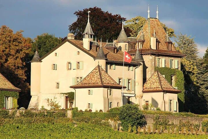 Geneva E‑Bike Wine Tour: Castle Tasting, Lake Views & Flower Clock