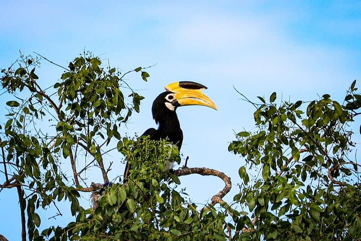 Yala Block 1 Full-Day Leopard Safari: What to Expect, Best Time & Tips photo 4