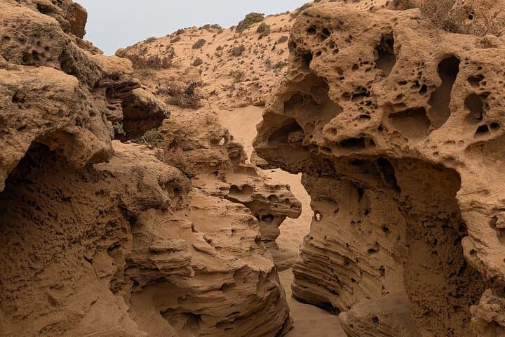 Agadir & Taghazout Sandboarding, Canyon Walk and Camel Ride photo 6