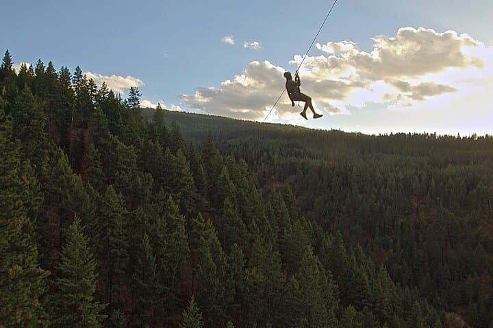 Lake Coeur d'Alene Zipline Tour — Timberline's 7-Line Canopy Adventure