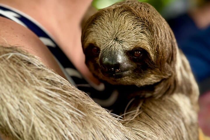 Roatan Highlight Private Tour: Animal Sanctuary, Chocolate & West Bay Beach photo 5