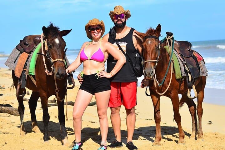 Discover Tranquility on a Punta Cana Horseback Beach Tour