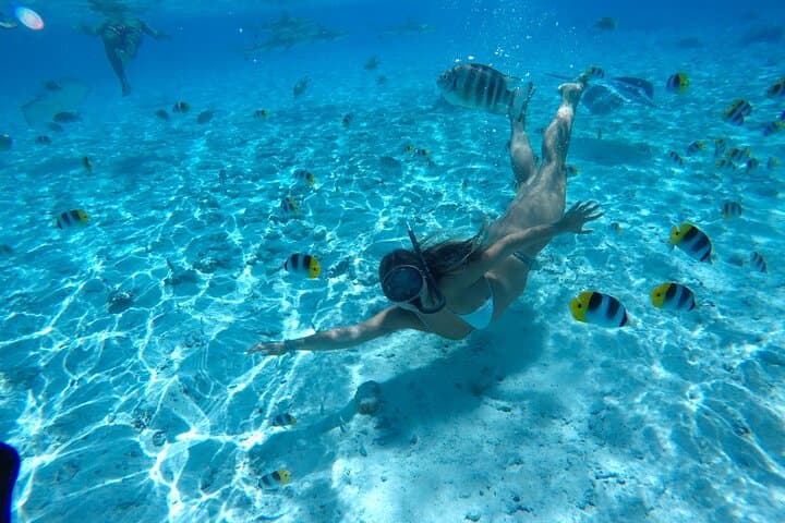 Private Bora Bora Lagoon Tour with Snorkeling and Onboard Lunch photo 4