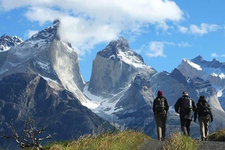 Full-Day Torres del Paine from El Calafate — Salto Grande, Los Cuernos & Pehoé Views photo 5
