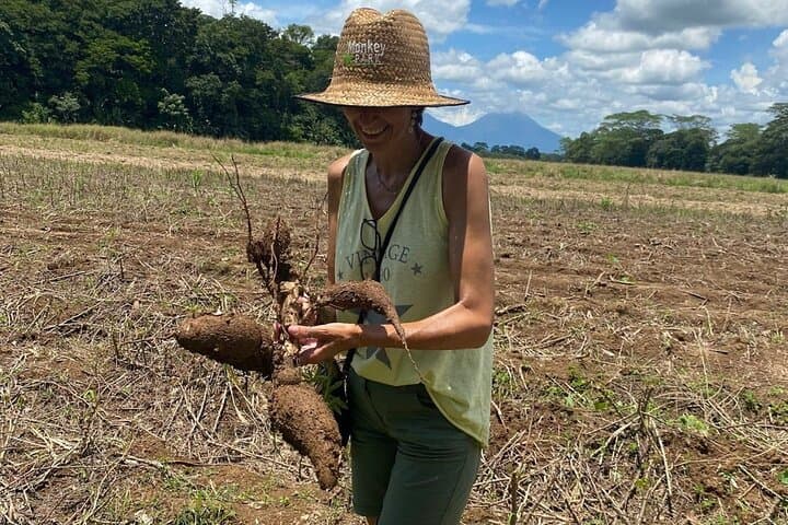 Authentic Farm Experience Near La Fortuna: Harvest, Feed & Local Lunch photo 2
