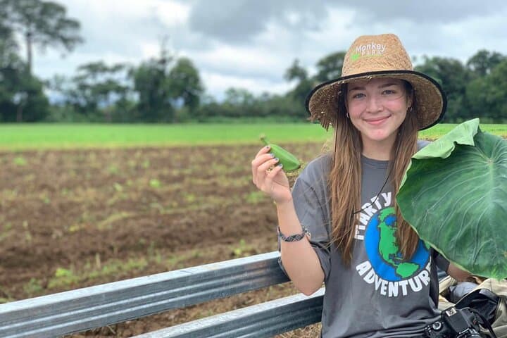 Authentic Farm Experience Near La Fortuna: Harvest, Feed & Local Lunch photo 6