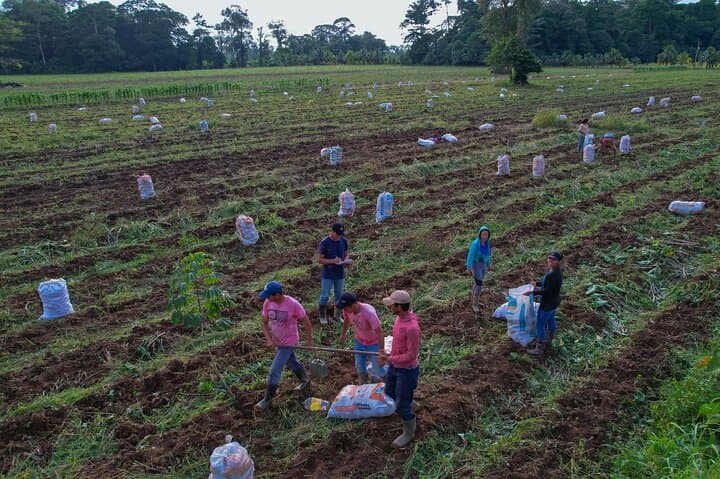 La Fortuna Farm and Monkey Park Guided Combo: Hands-On Harvest to Rainforest Hike photo 2