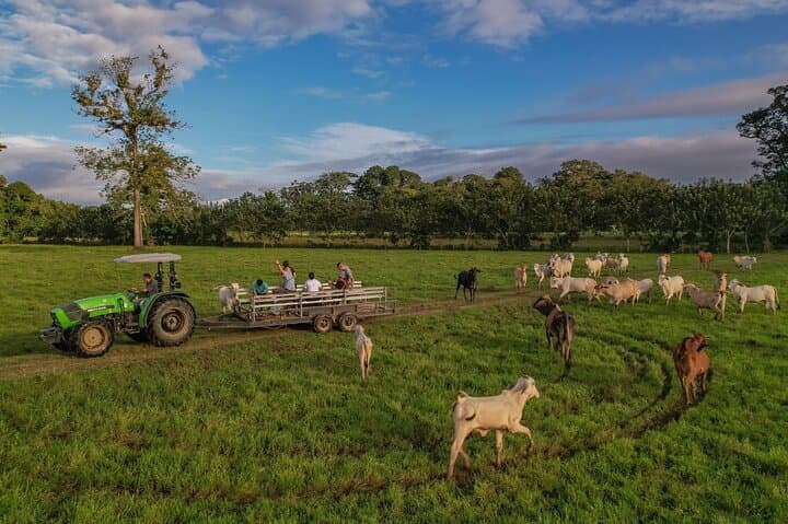 La Fortuna Farm and Monkey Park Guided Combo: Hands-On Harvest to Rainforest Hike photo 3