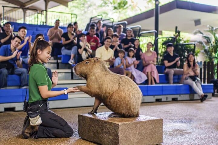 River Wonders Singapore: Complete River Safari & Giant Panda Forest Guide photo 5