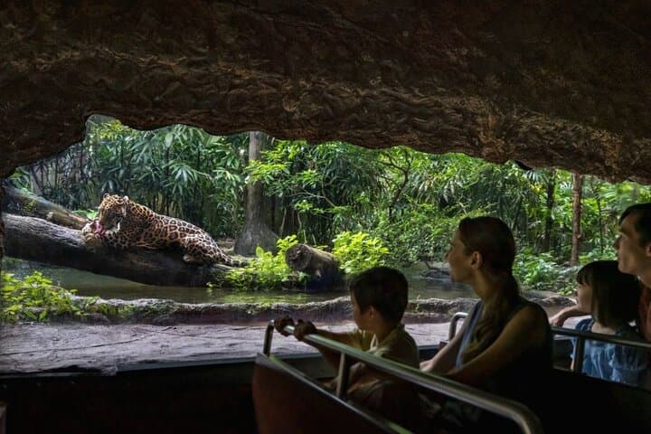 River Wonders Singapore: Complete River Safari & Giant Panda Forest Guide photo 6