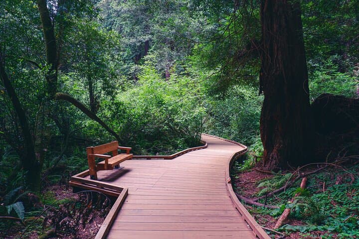 Explore Muir Woods, Sausalito & Battery Spencer: Iconic San Francisco Coastal Adventure photo 5