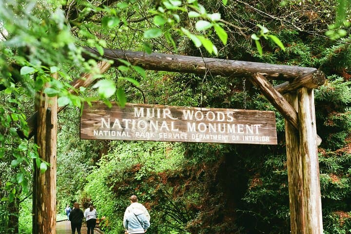 Explore Muir Woods, Sausalito & Battery Spencer: Iconic San Francisco Coastal Adventure photo 3