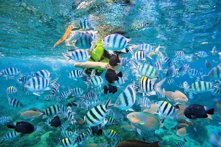 Phu Quoc 3-Island Canoe Adventure: Snorkel Hòn Kim Quy, Hòn Gầm Ghì & Hòn Mây Rút photo 4