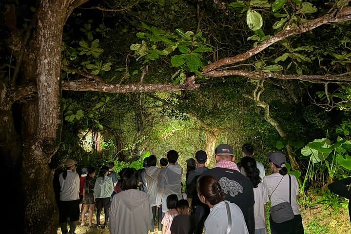 Miyakojima Jungle Night Tour: Coconut Crabs, Insects & Stargazing photo 2