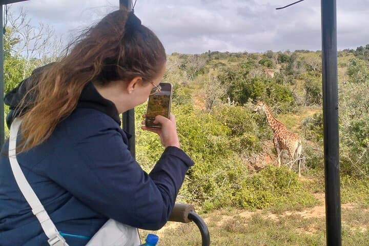 Addo & Schotia: 2-Day Safari From Port Elizabeth — Elephants, Lions & Lodge Stays