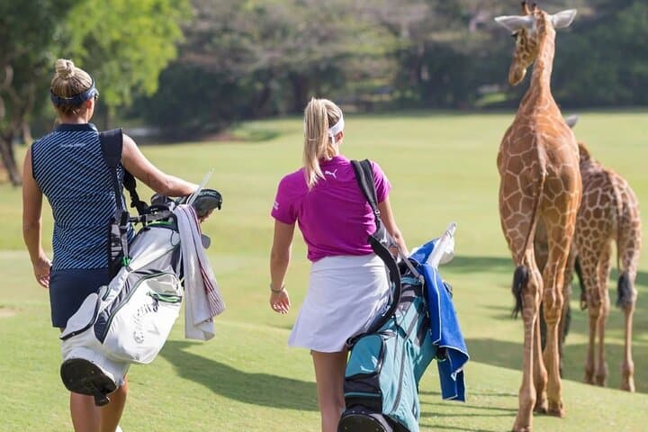 Tsavo East Private 3-Day Tour from Mombasa: Fort Jesus, Vipingo Ridge & Safari photo 4