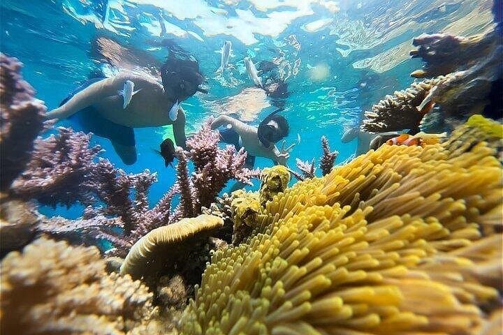 Speedboat Snorkel Tour to An Thoi Islands — Phu Quoc Day Trip photo 1