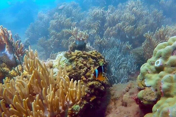Speedboat Snorkel Tour to An Thoi Islands — Phu Quoc Day Trip photo 4