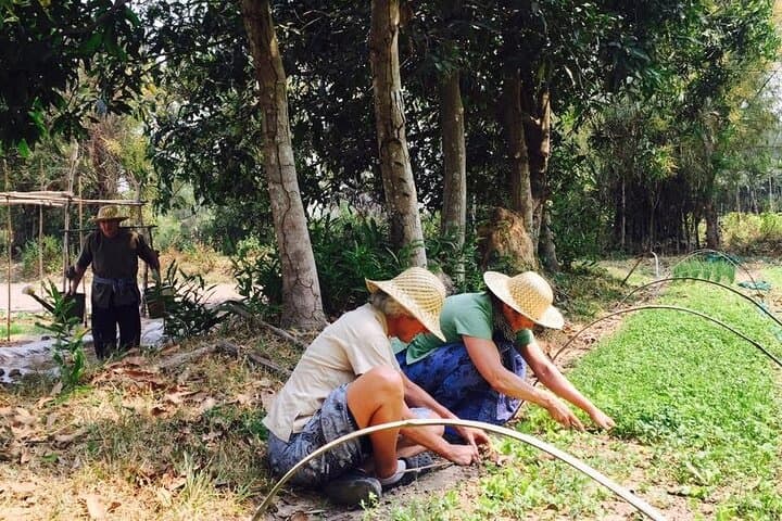 Siem Reap Farm Tour: Cooking Class, Monk Blessing & Village Life photo 3