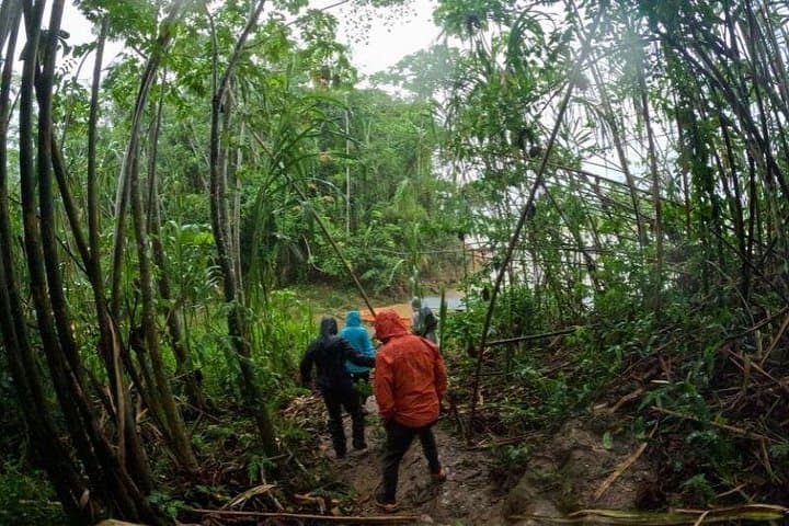Amazon Jungle & Sandoval Lake: 3-Day Puerto Maldonado Lodge Adventure photo 5