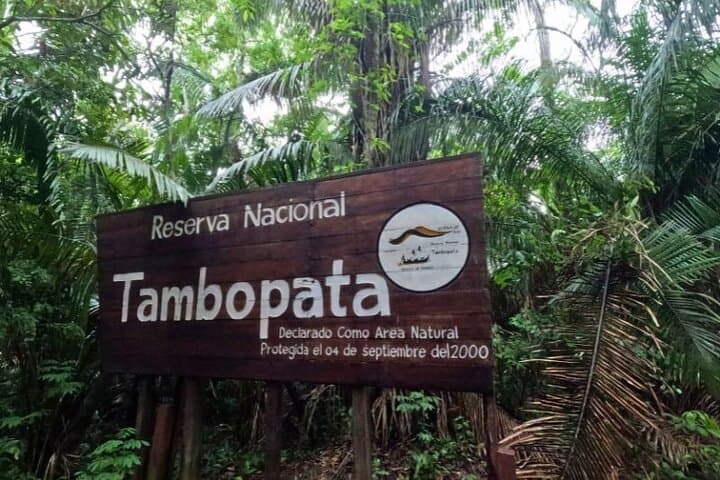 Amazon Jungle & Sandoval Lake: 3-Day Puerto Maldonado Lodge Adventure photo 6