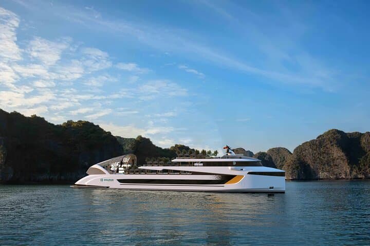 Ha Long Bay Dolphin Cruise: 5-Star Day Cruise with Pool, Buffet Lunch & Luon Cave photo 4
