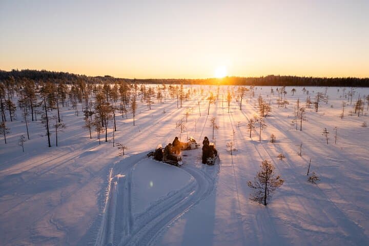 Ranua Snowmobile Safari: 2-Hour Winter Lake Adventure in Lapland