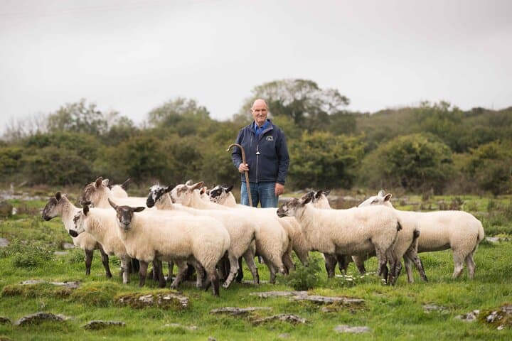 Galway to Cliffs of Moher & Sheepdog Demo — Private Day Trip photo 2