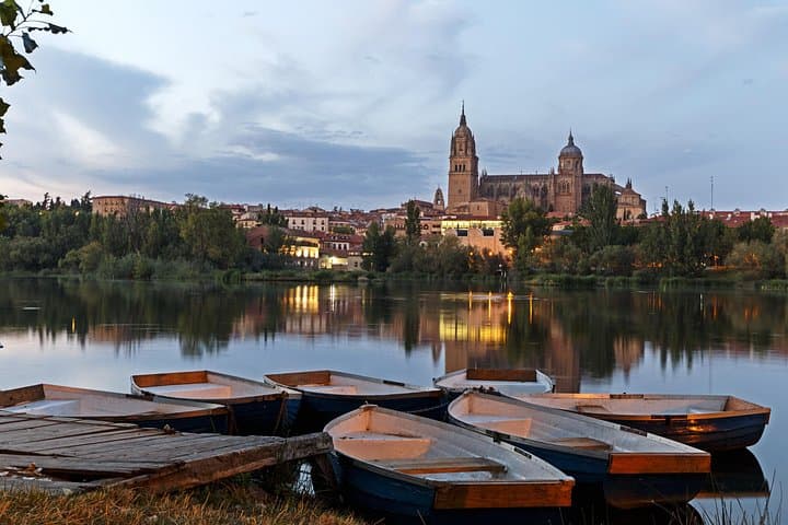 Salamanca, Zamora & Guijuelo Day Tour: Medieval Cities and Iberian Ham Tasting from Valladolid