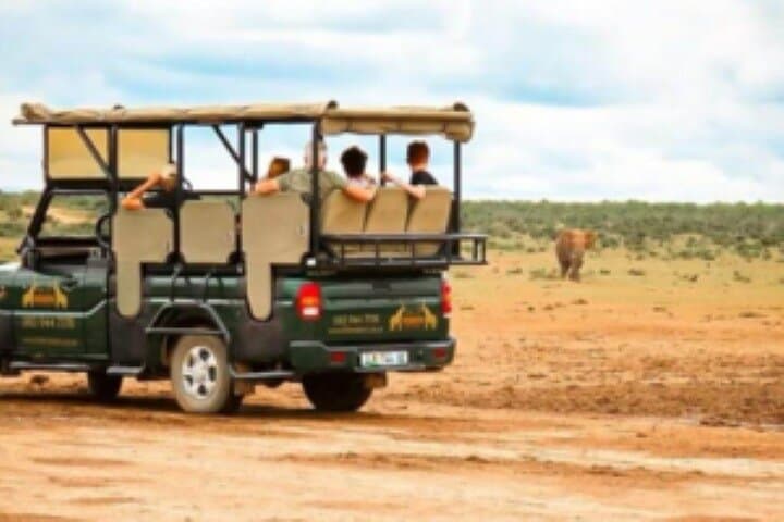 Addo Elephant National Park Full-Day Safari for Cruise Passengers photo 5