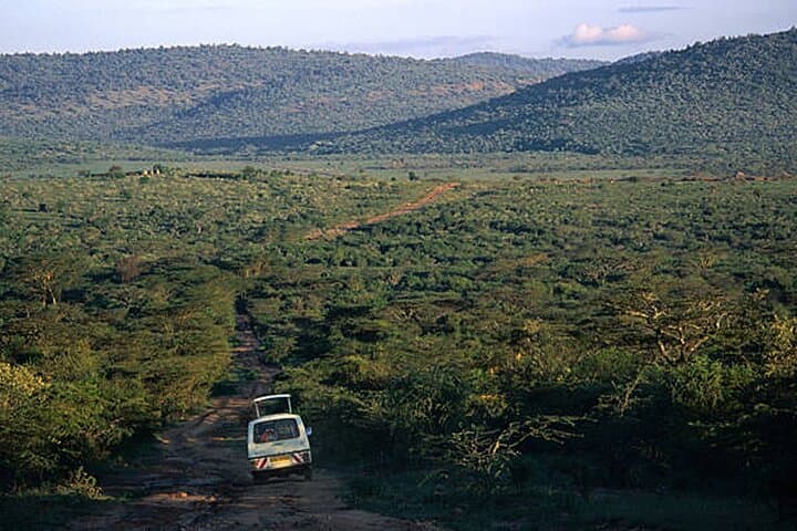 6-Day Masai Mara, Lake Nakuru & Naivasha Safari with Boat Ride — Complete Wildlife & Lake Tour photo 4