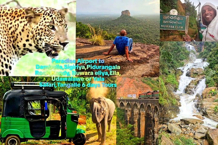 Six-Day Sigiriya-to-Yala Circuit: Cultural Sites, Highlands & Safari photo 1