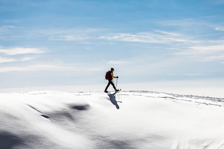 Arctic Snowshoe Hike from Tromsø: Wilderness Picnic, Scenic Stops & Pro Photos